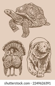 Graphical vintage set of animals on sepia background,vector  illustration. Zoology