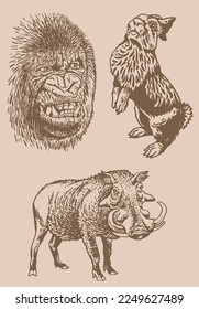 Graphical vintage set of animals on sepia background,vector  illustration. Zoology