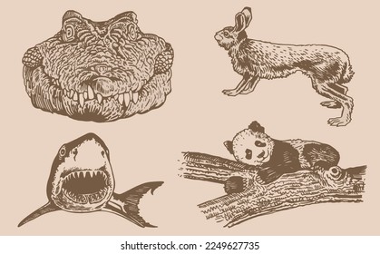Graphical vintage set of animals on sepia background,vector  illustration. Zoology