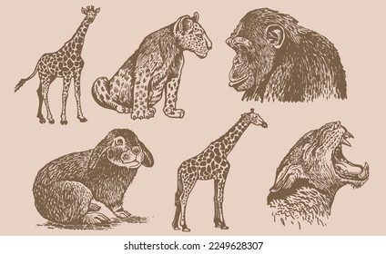 Graphical vintage set of animals on sepia background,vector  illustration. Zoology