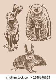 Graphical vintage set of animals on sepia background,vector  illustration. Zoology