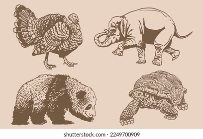 Conjunto gráfico vintage de animales sobre fondo sepia, ilustración vectorial. Zoología