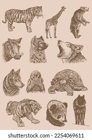 Graphical vintage set of animals , sepia background,vector  illustration. Zoology. Elements for design