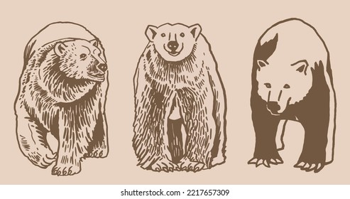 Graphical vintage set of bears on sepia background,vector  illustration. Ink pen illustration