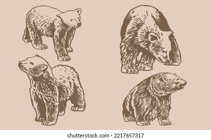 Graphical vintage set of bears on sepia background,vector  illustration. Ink pen illustration