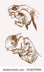 Graphical vintage set of bunnies , sepia background,vector illustration