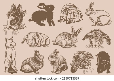 Graphical vintage set of bunnies
, sepia background, easter bunny vector collection