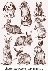 Graphical vintage set of bunnies ,vector retro illustration