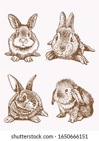 Graphical vintage set of bunnies , vector sepia illustration