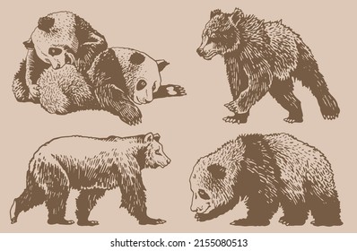 Graphical vintage set of cute hand-drawn bears , grizzly bear and panda vector elements. Bears for printing, typography ,design