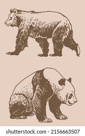 Graphical vintage set of cute hand-drawn bears , grizzly bear and panda vector elements. Bears for printing, typography ,design