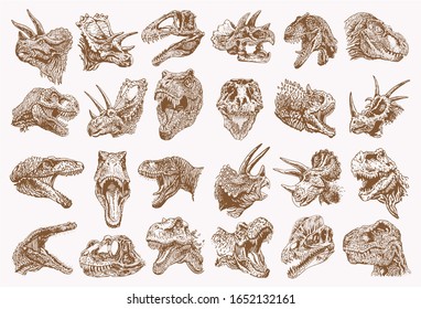 Graphical vintage set of dinosaur portraits , sepia background, vector illustration,paleontology