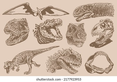 Graphical vintage set of dinosaur portraits. Vector heads and skull . Paleontological element