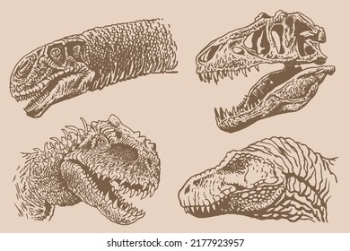 Graphical vintage set of dinosaur portraits. Vector heads and skull . Paleontological element