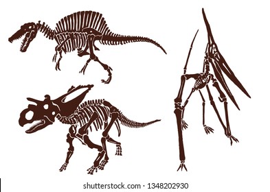 Graphical vintage set of dinosaur skeletons ,retro background,vector sketch