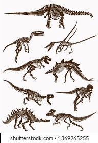 Graphical vintage set of dinosaur skeletons and skulls,paleontology.