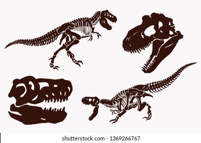 Graphical vintage set of dinosaur skeletons and skulls,paleontology.