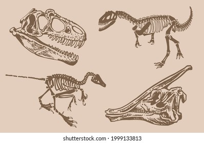 Graphical vintage set of dinosaur skeletons and skulls,sepia background,vector elements