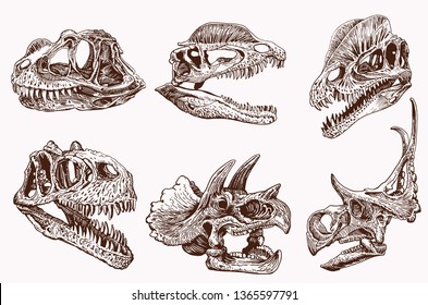 Graphical vintage set of dinosaur skulls ,vector retro sketch