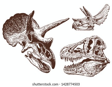 Graphical vintage set of dinosaur skulls ,vector sketchy illustration,paleontology