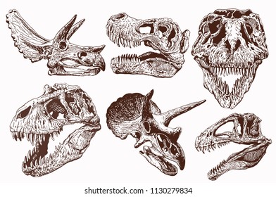 Graphical vintage set of dinosaur skulls,vector tattoo illustration