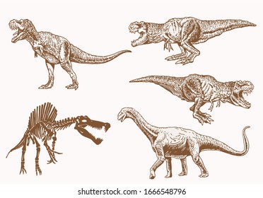 Graphical vintage set of dinosaurs, sepia vector illustration