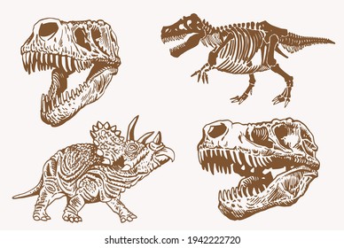 Graphical vintage set of dinosaurs ,sepia vector illustration,paleonthology