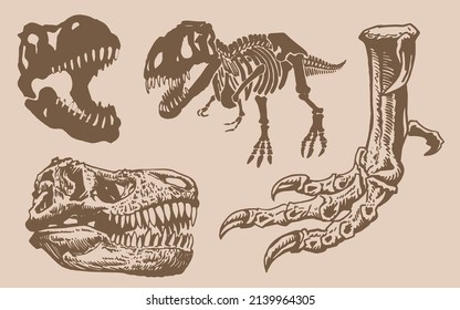 Conjunto vintage gráfico de dinosaurios, fondo sepia, ilustración vectorial