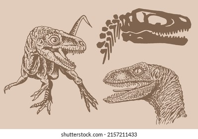 Graphical vintage set of dinosaurs and skulls , sepia background,vector illustration, museum elements for design,posters and covers.Paleontology,lizard