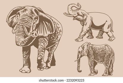 Graphical vintage set of elephants on sepia  background,vector illustration for tattoo ,coloring and printing