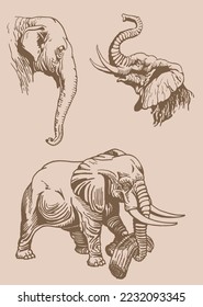 Graphical vintage set of elephants on sepia  background,vector illustration for tattoo ,coloring and printing