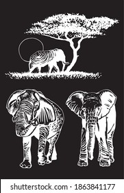 Graphical vintage set of elephants, vector illustration, African animal