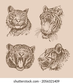 Graphical vintage set of four portraits of tigers , sepia illustration for design and tattoo