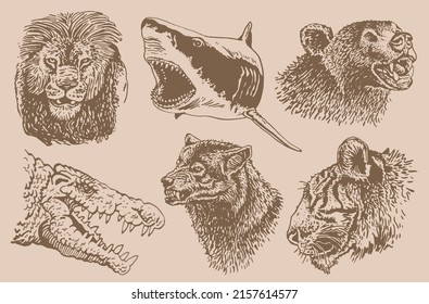 Graphical  vintage set of heads of animals with grins,vector elements
