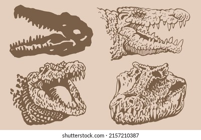 Graphical vintage set of heads of crocodiles , sepia background, vector illustration