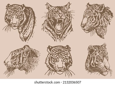 graphical vintage set of heads of tigers,vector sepia illustration,elements for tattoo ,printing ,design