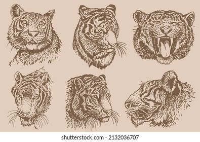graphical vintage set of heads of tigers,vector sepia illustration,elements for tattoo ,printing ,design