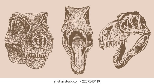 Graphical vintage set of heads of tyrannosaurus,vector  illustration