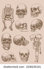 Graphical vintage set of human skulls and skeletons, vector spooky element for tattoo,design and print