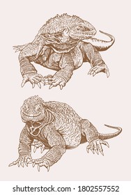 Graphical vintage set of iguanas,vector sepia illustration