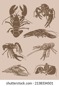 Graphical vintage set of lobsters, sea-food elements,vector illustration 
