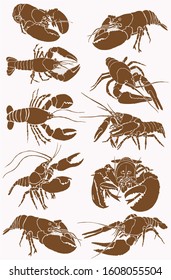 Graphical vintage set of lobsters , vector sea-food illustration