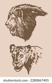 Graphical vintage set of portraits of lions,vector illustration. African animal 