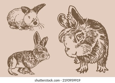 Graphical vintage set of rabbits ,vector illustration. Bunnies 