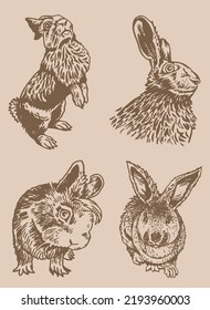 Graphical vintage set of rabbits ,vector illustration. Bunnies 
