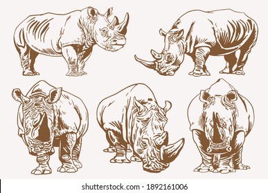 Graphical vintage set of rhinoceroses ,vector elements