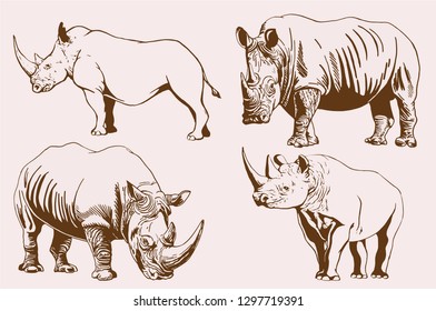 Graphical vintage set of rhinos ,retro illustration