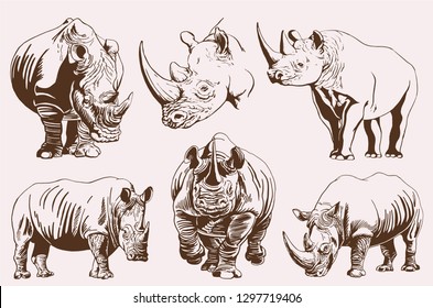 Graphical vintage set of rhinos ,retro illustration