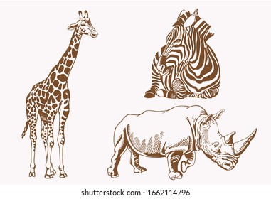 Graphical vintage set of savanna animals , sepia background,vector illustration