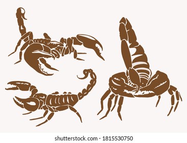 Graphical vintage set of scorpions , sepia illustration
